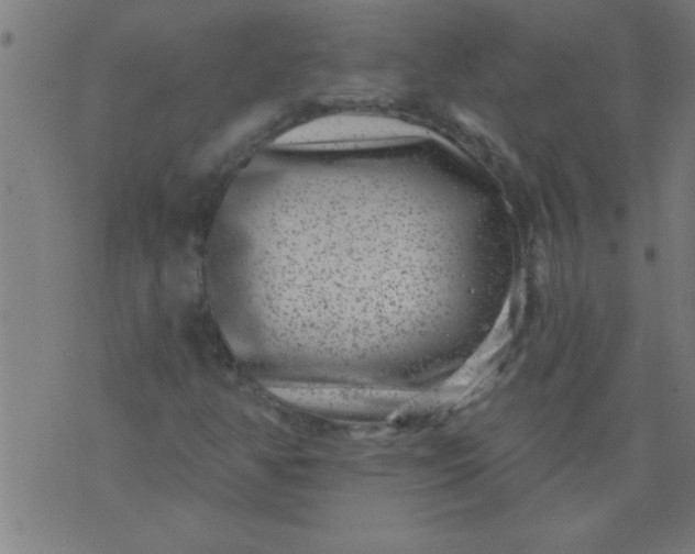 X0000076101350200610061656