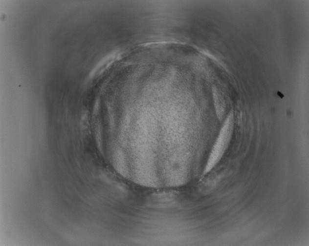 X0000076101351200610061656