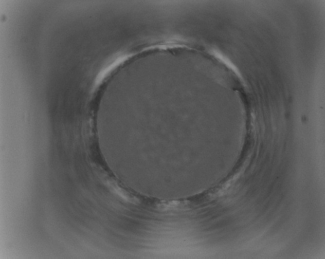 X0000076101352200610061656