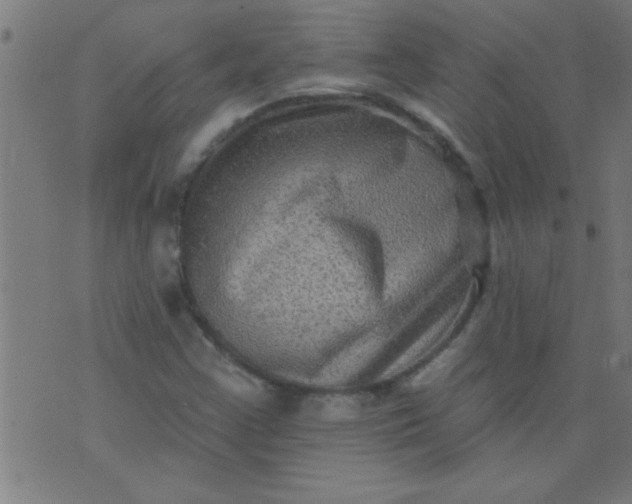 X0000076101355200610061656