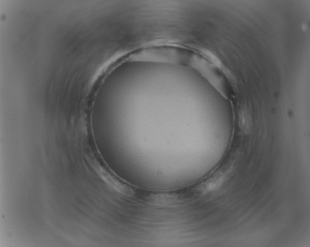 X0000076101356200610061656