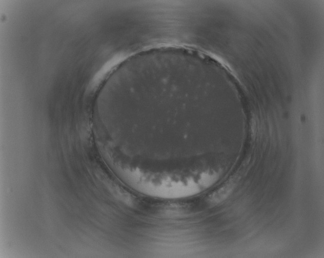 X0000076101359200610061656