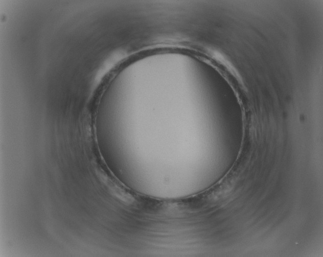 X0000076101360200610061656