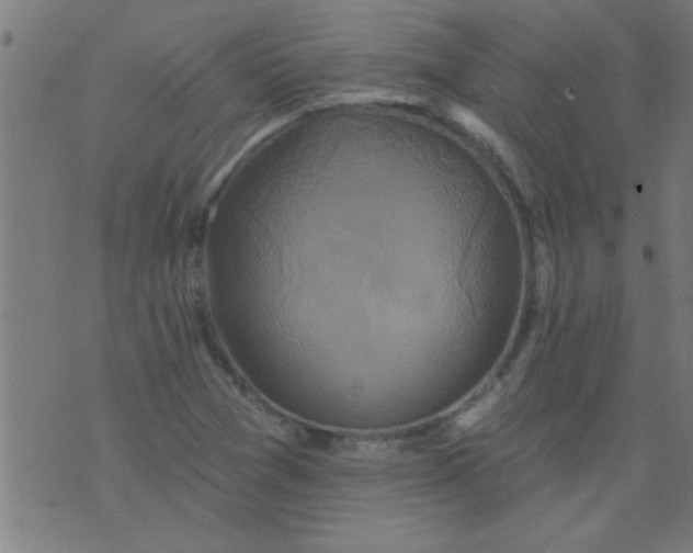 X0000076101361200610061656