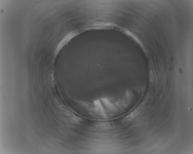 X0000076101362200610061656