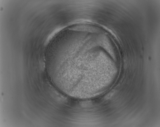 X0000076101363200610061656