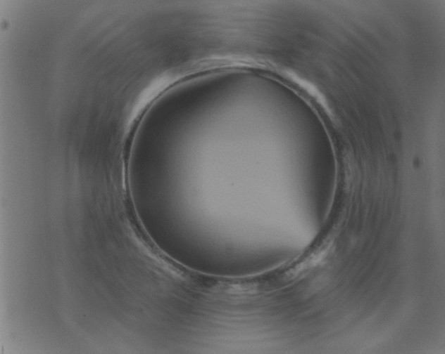 X0000076101365200610061656