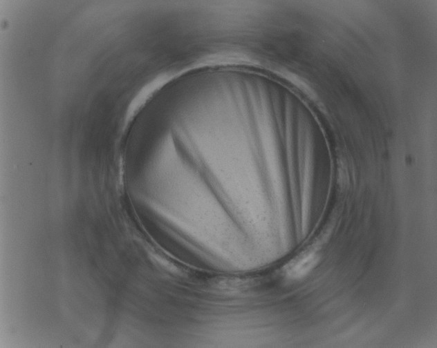 X0000076101366200610061656