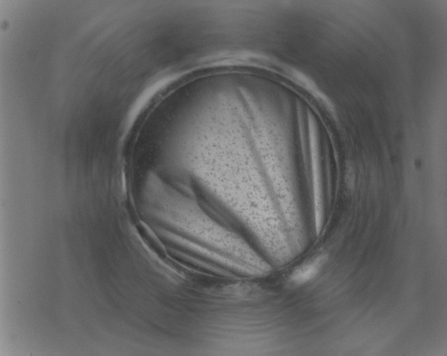 X0000076101368200610061656