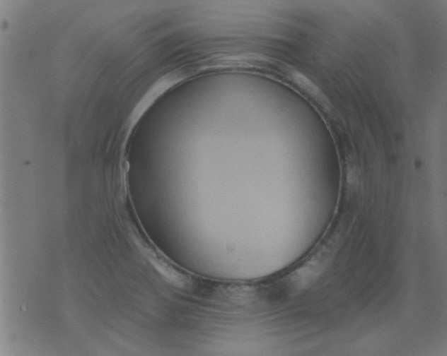 X0000076101370200610061656