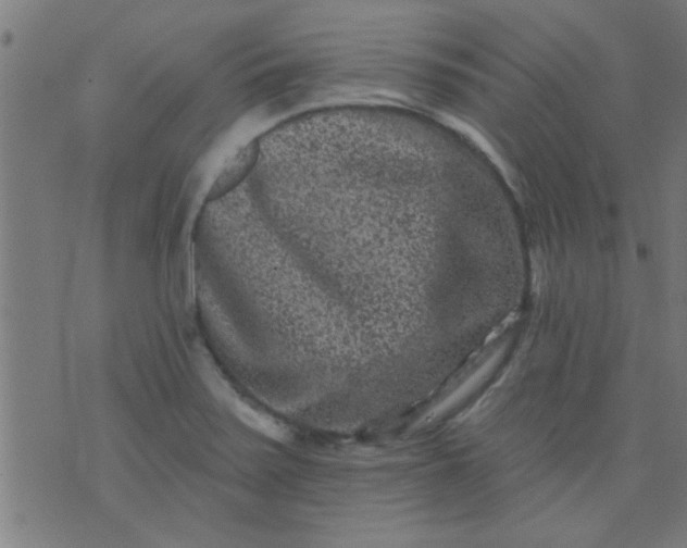 X0000076101371200610061656