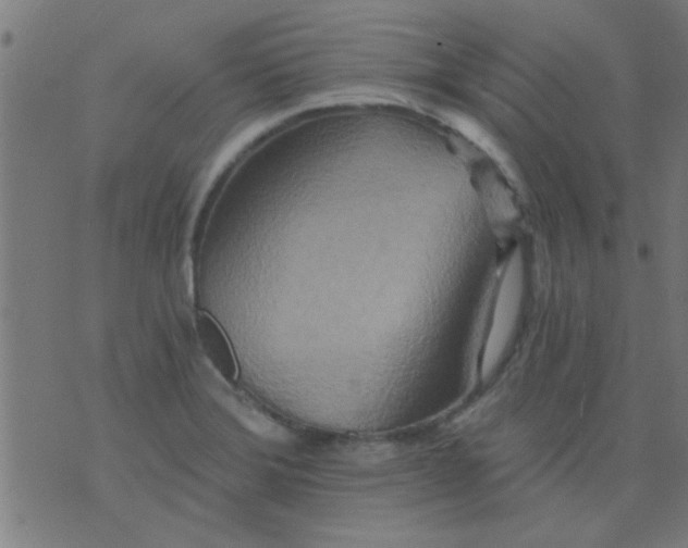 X0000076101372200610061656