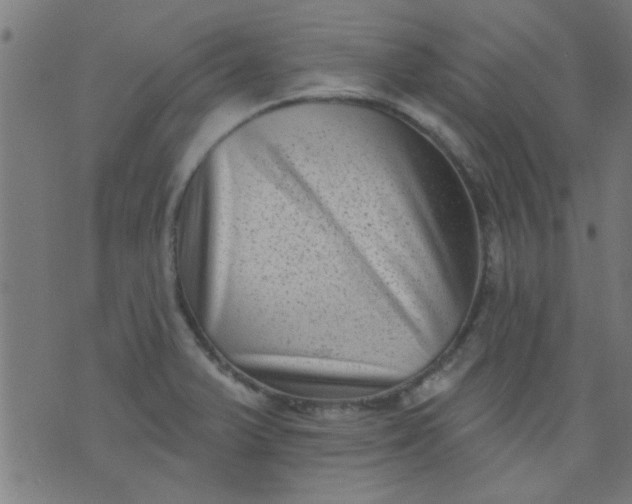 X0000076101375200610061656