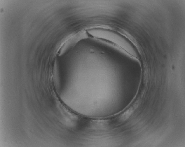 X0000076101377200610061656