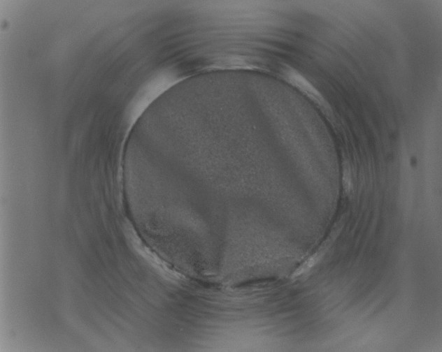 X0000076101378200610061656