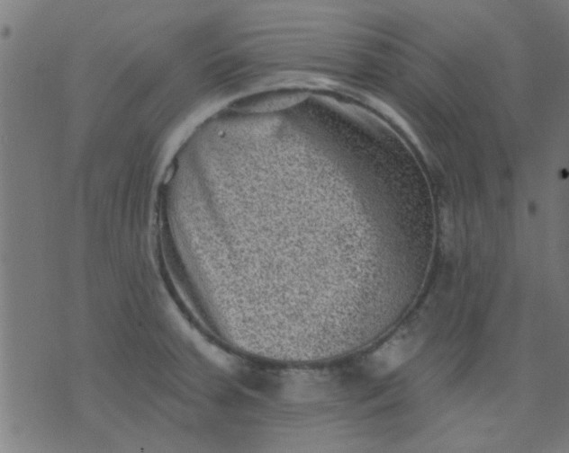 X0000076101379200610061656