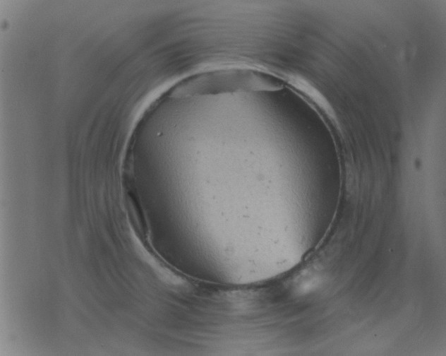 X0000076101380200610061656