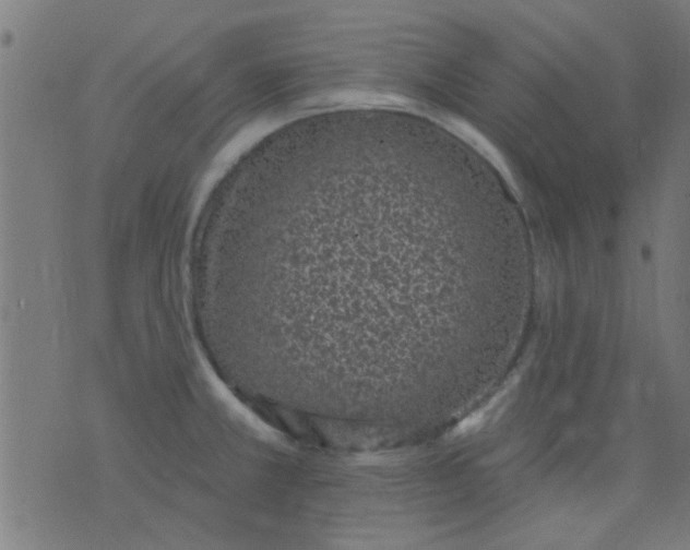 X0000076101381200610061656