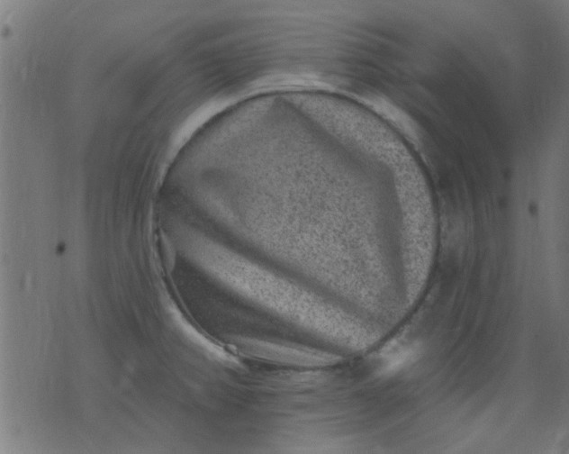 X0000076101382200610061656