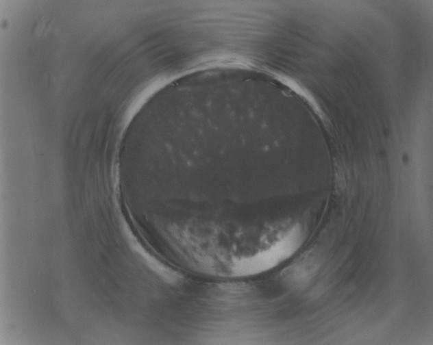 X0000076101383200610061656