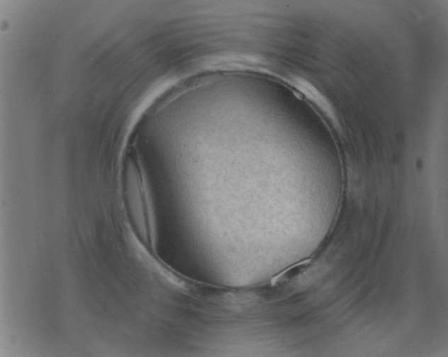 X0000076101384200610061656