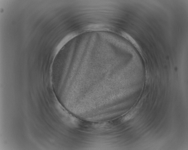 X0000076101386200610061656