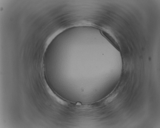 X0000076101387200610061656