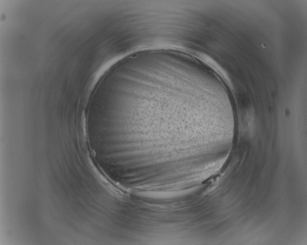 X0000076101388200610061656