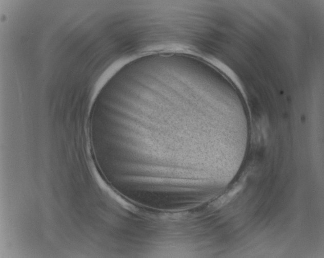 X0000076101389200610061656