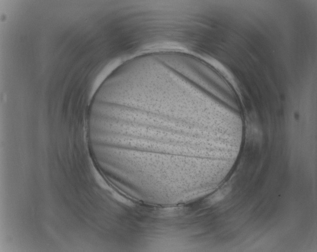 X0000076101390200610061656