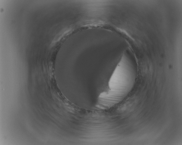 X0000076101399200610061655