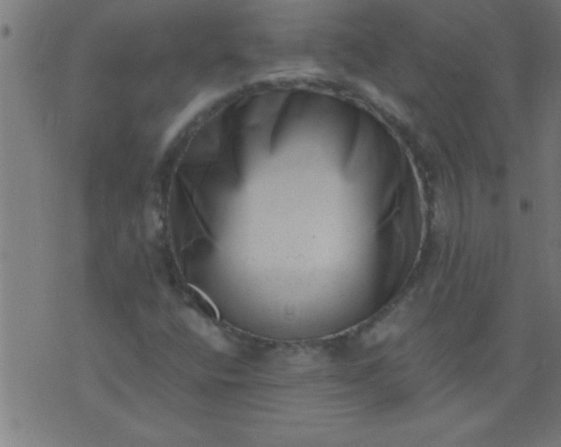 X0000076101400200610061655