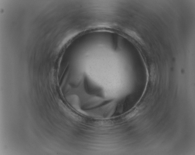 X0000076101404200610061655