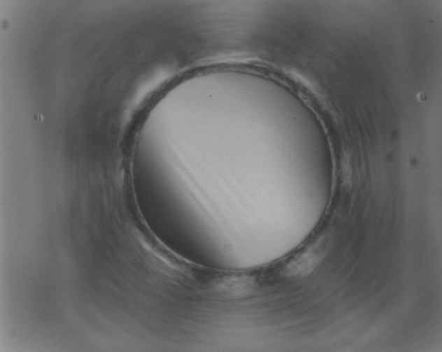 X0000076101406200610061655