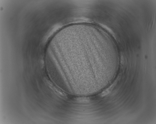 X0000076101407200610061655