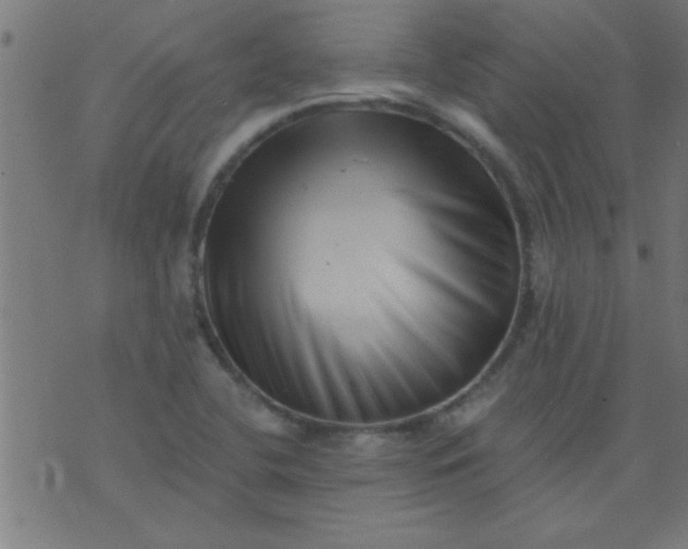 X0000076101412200610061655