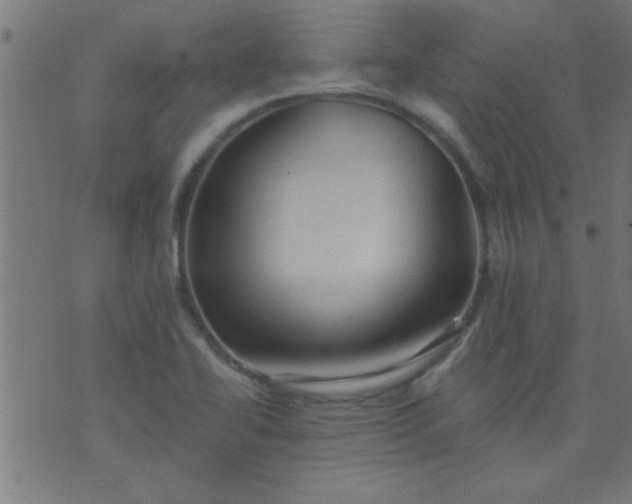 X0000076101414200610061655