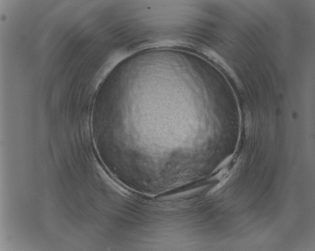 X0000076101417200610061655