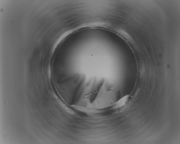 X0000076101420200610061655