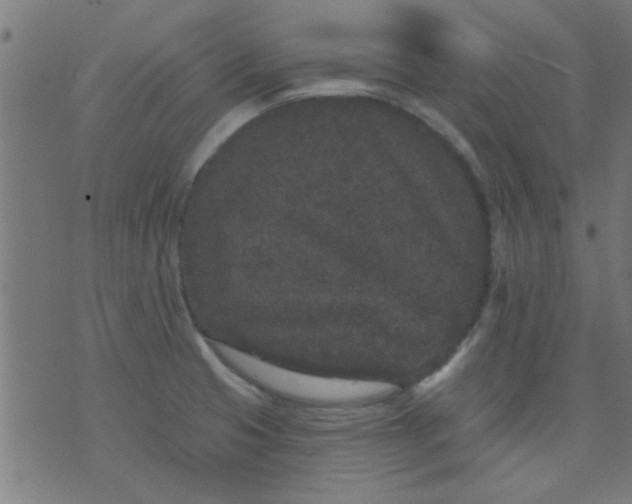 X0000076101425200610061655