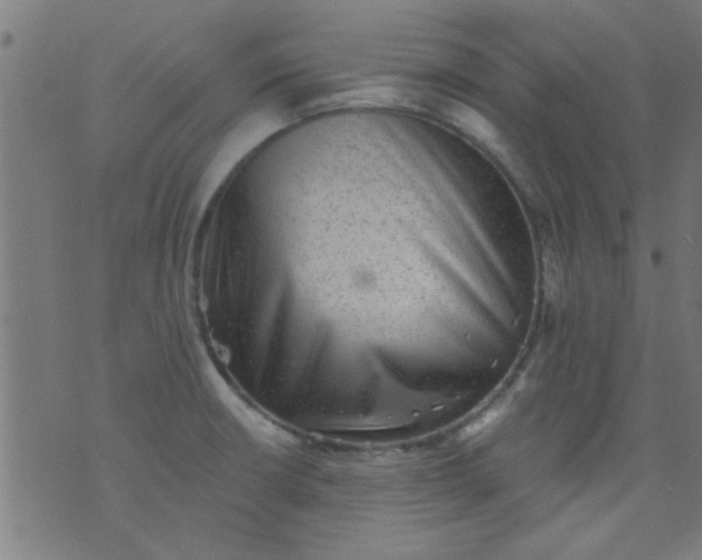 X0000076101426200610061655