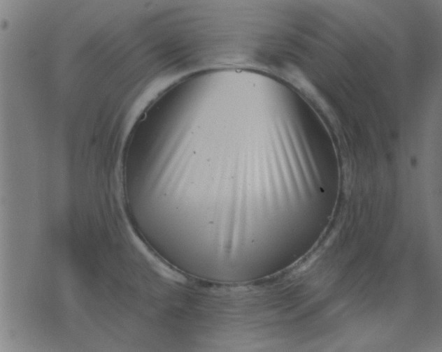 X0000076101432200610061655
