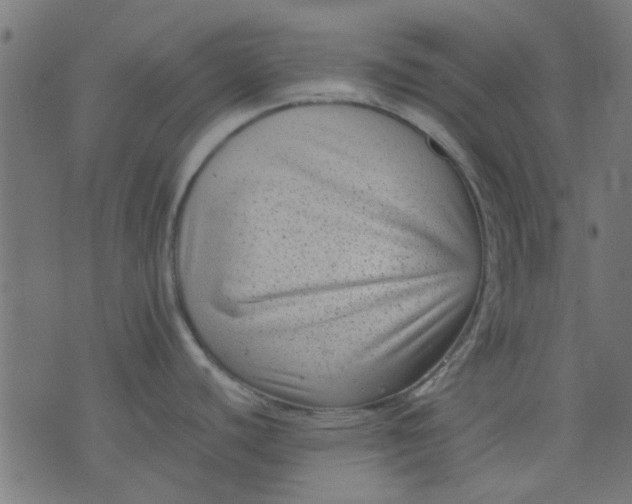 X0000076101440200610061655