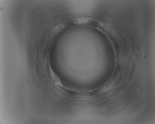 X0000076101441200610061655