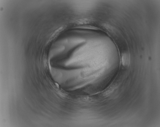 X0000076101444200610061655