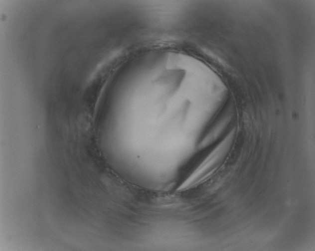 X0000076101447200610061655