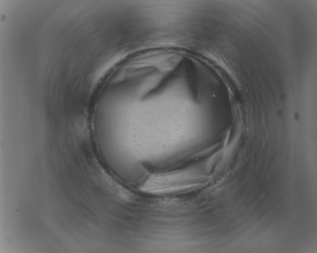 X0000076101452200610061655