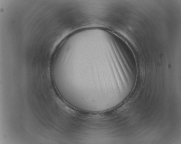 X0000076101460200610061654