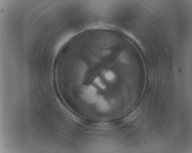 X0000076101463200610061654