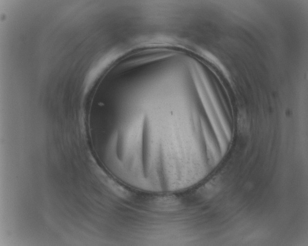 X0000076101464200610061654